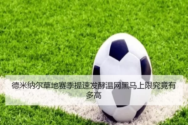 德米纳尔草地赛季提速发酵温网黑马上限究竟有多高